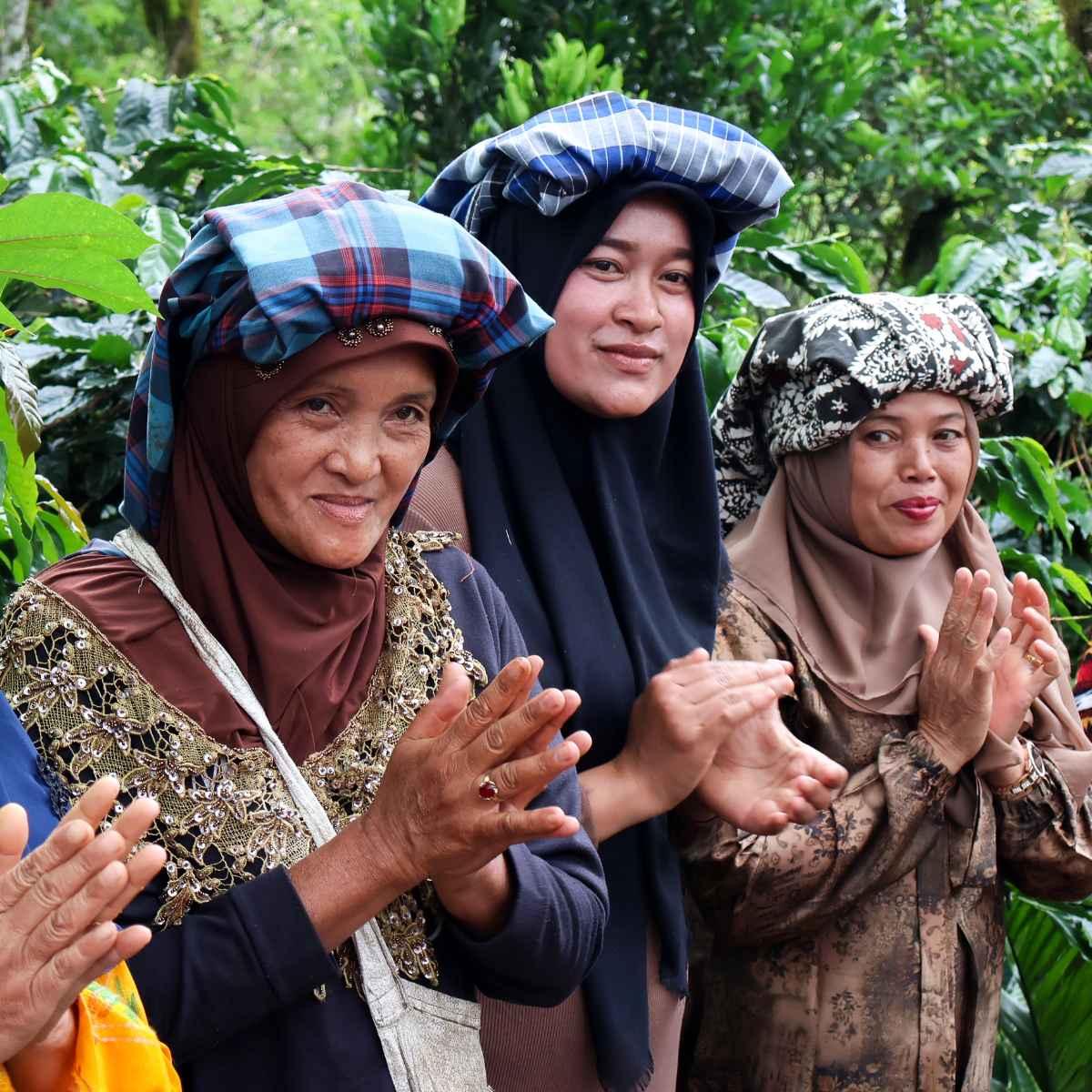 Sumatra | Wicked Joe Organic